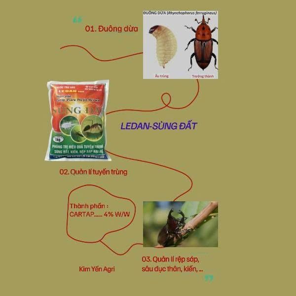 Gói Rải Ledan 4GR hiệu Sùng Đất 1kg, Diệt kiến, rải chết kiến nhiều, kiến chết nhanh, sùng đất, rải đuông dừa, rải trừ bọ cánh cứng hại dừa, tuyến trùng, muỗi hành, sâu đục thân