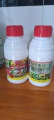 Chai KTEDO 85EC – HIỆU HÙM XÁM 450ml: diệt côn trùng chích hút, rầy xanh, rệp sáp, rầy thánh giá, bọ trĩ, nhện đỏ, sâu ăn lá, bọ phấn trắng, rầy mềm
