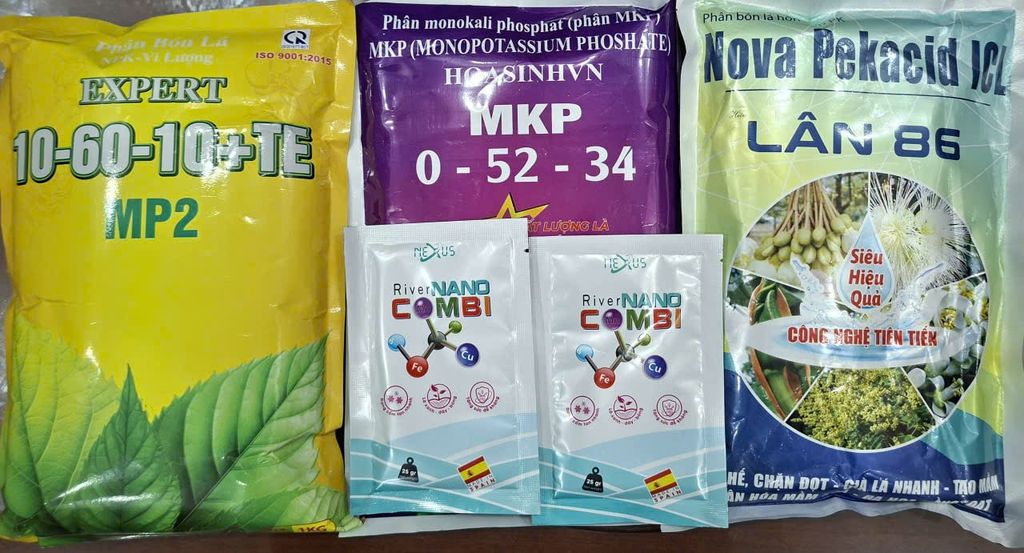 (Tạo mầm hoa cho mít) Combo tạo mầm mạnh cho mít thái, mít ruột đỏ indo- giúp mít ra hoa nhiều, ra hoa đồng loạt và tăng tỷ lệ đậu trái