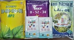 (Tạo mầm hoa cho mít) Combo tạo mầm mạnh cho mít thái, mít ruột đỏ indo- giúp mít ra hoa nhiều, ra hoa đồng loạt và tăng tỷ lệ đậu trái