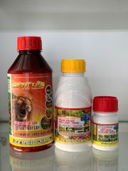 Thuốc trị ruồi vàng, ruồi đục quả, sâu đục trái cây vú sữa, ruồi vàng xoài, ruồi vàng mận, táo, ruồi vàng hại mướp, ớt, khổ qua, bầu bí, dưa leo