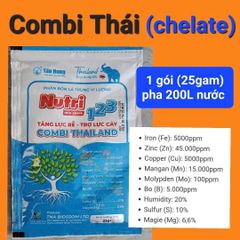 Thuốc trừ bệnh đốm lá, sương mai, thán thư, thối trái trên Vải - Chai Amitop 450SC (nhập khẩu Ấn độ) trừ bệnh nhưng không nóng cây