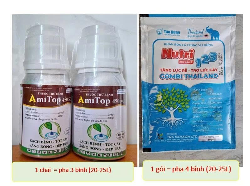 Thuốc trừ bệnh đốm lá, sương mai, thán thư, thối trái trên Vải - Chai Amitop 450SC (nhập khẩu Ấn độ) trừ bệnh nhưng không nóng cây