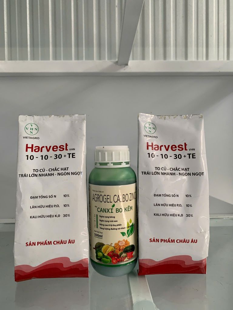 (Lớn trái, nặng ký) Bộ đôi lớn trái ổi, lớn trái mít, lớn trái vú sữa, trái to tròn đều, hạn chế méo trái, đặc ruột nặng ký