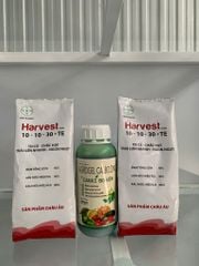 (Lớn trái, nặng ký) Bộ đôi lớn trái ổi, lớn trái mít, lớn trái vú sữa, trái to tròn đều, hạn chế méo trái, đặc ruột nặng ký