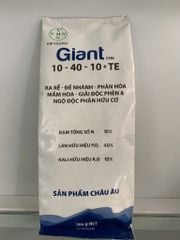 (gói 500g) Giant 10-40-10+ TE : phân bón lá nhập khẩu Châu Âu: kích đẻ nhánh, phân hóa mầm hoa, giải độc phèn, ngộ độc hữu cơ
