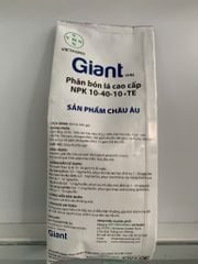 (gói 500g) Giant 10-40-10+ TE : phân bón lá nhập khẩu Châu Âu: kích đẻ nhánh, phân hóa mầm hoa, giải độc phèn, ngộ độc hữu cơ