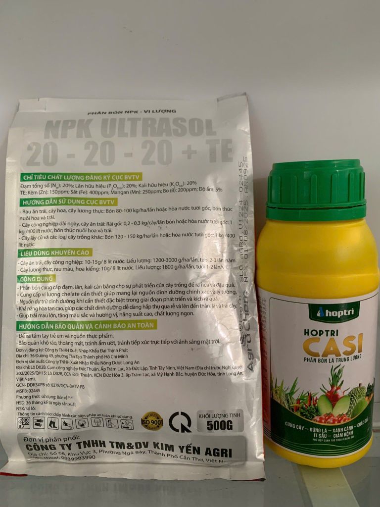 Giải pháp dinh dưỡng giúp lớn trái dừa, hạn chế nứt trái dừa