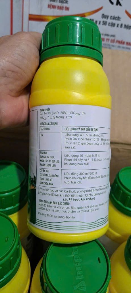 Giải pháp dinh dưỡng giúp lớn trái dừa, hạn chế nứt trái dừa