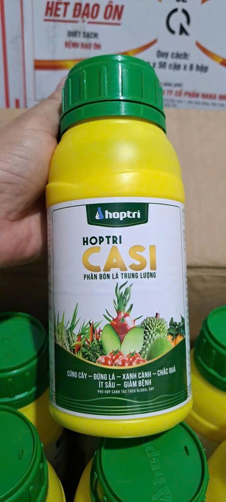 Giải pháp dinh dưỡng giúp lớn trái dừa, hạn chế nứt trái dừa