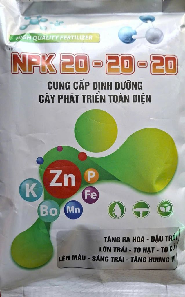 Giải pháp dinh dưỡng giúp lớn trái dừa, hạn chế nứt trái dừa