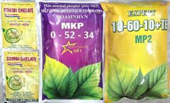 Tạo mầm sầu riêng mùa thuận lần 1, lần 2, lần 3: kích thích mầm ra đồng đều, mầm khỏe, ra hoa theo ý muốn