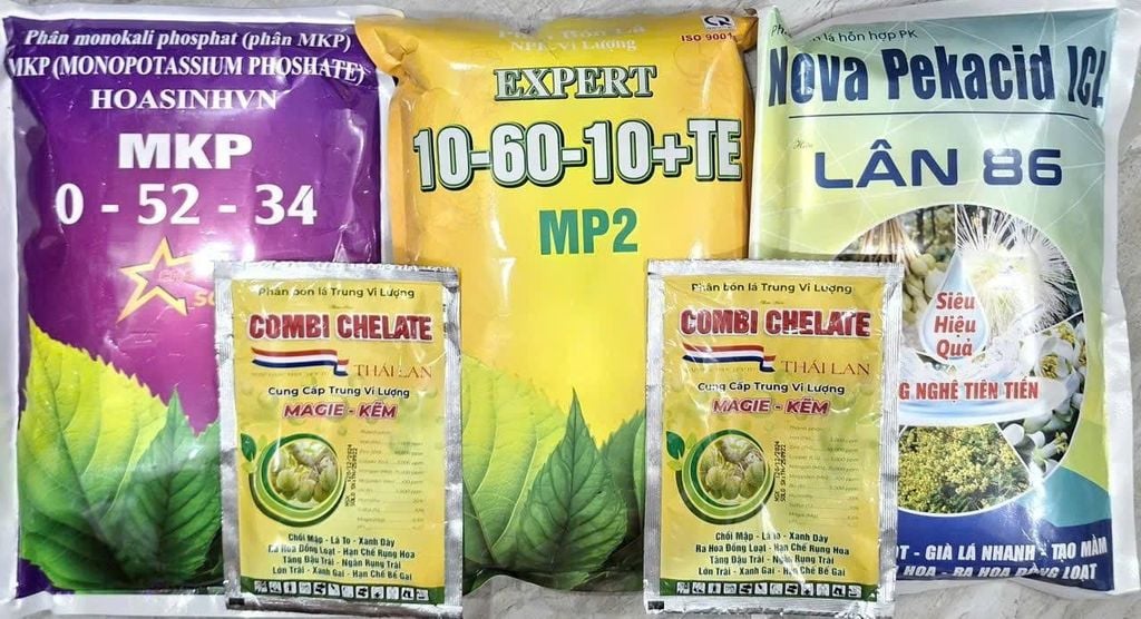 Tạo mầm sầu riêng mùa thuận lần 1, lần 2, lần 3: kích thích mầm ra đồng đều, mầm khỏe, ra hoa theo ý muốn