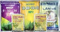 Tạo mầm sầu riêng mùa thuận lần 1, lần 2, lần 3: kích thích mầm ra đồng đều, mầm khỏe, ra hoa theo ý muốn