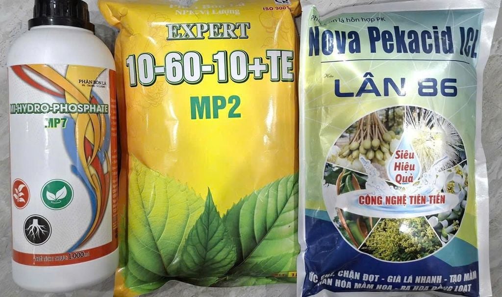 Tạo mầm sầu riêng mùa thuận lần 1, lần 2, lần 3: kích thích mầm ra đồng đều, mầm khỏe, ra hoa theo ý muốn