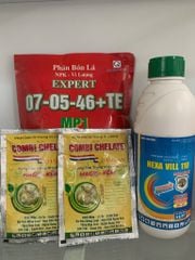 Bộ già lá nhanh Hexavill 1l + 07-05-46+TE 1kg + gói 7-5-46 1kg + 2 gói combi ức chế đọt non không gây cháy lá sầu riêng