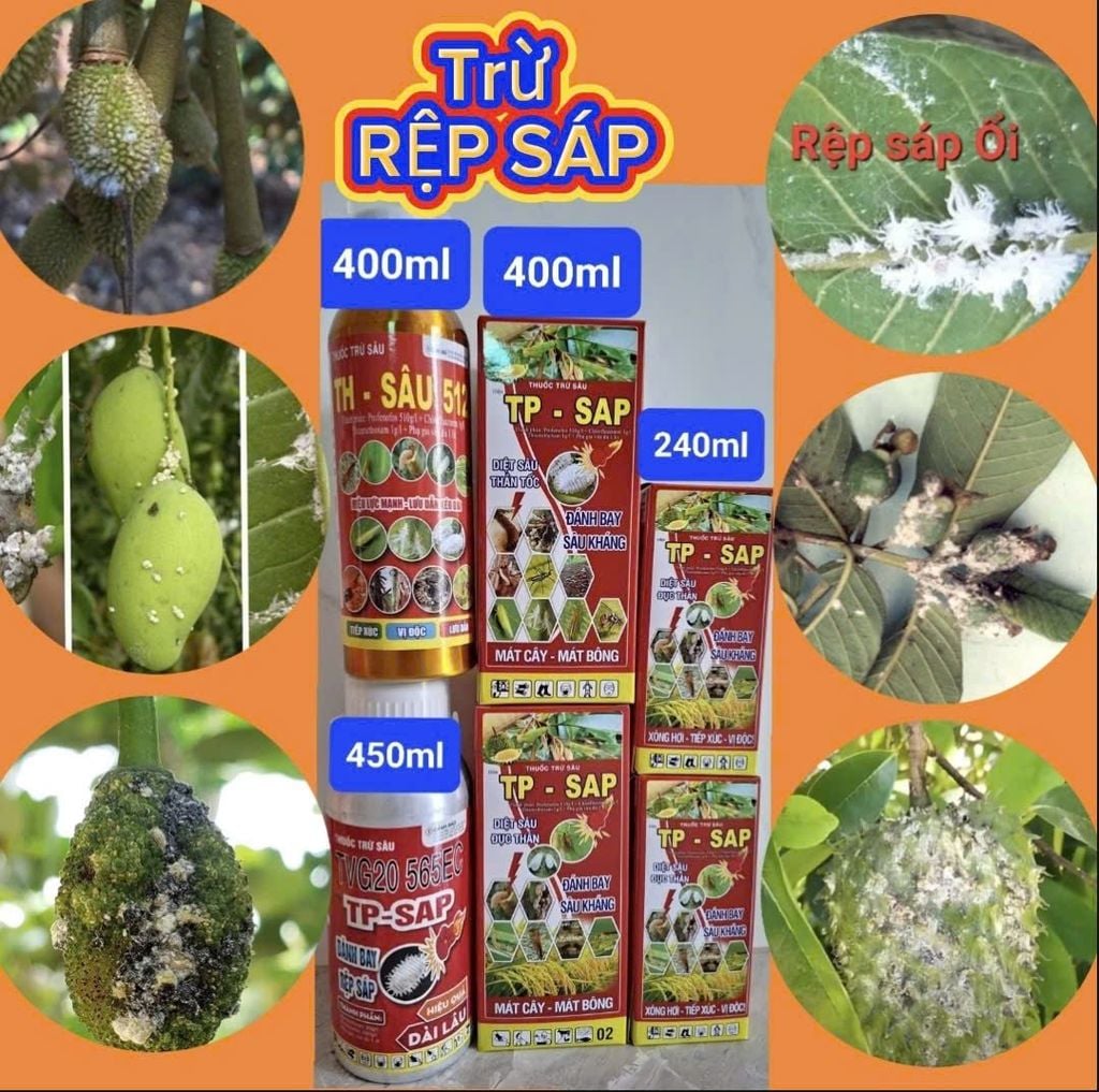 TOP các sản phẩm chuyên đặc trị rệp sáp hiệu quả