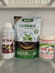 Giải pháp phục hồi vườn bị ngập nước, Dưỡng rễ, phục hồi rễ, kích rễ cây bị ngập úng