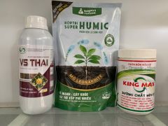 Giải pháp phục hồi vườn bị ngập nước, Dưỡng rễ, phục hồi rễ, kích rễ cây bị ngập úng