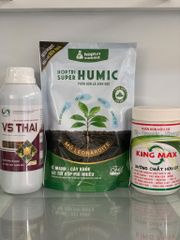 Giải pháp phục hồi vườn bị ngập nước, Dưỡng rễ, phục hồi rễ, kích rễ cây bị ngập úng