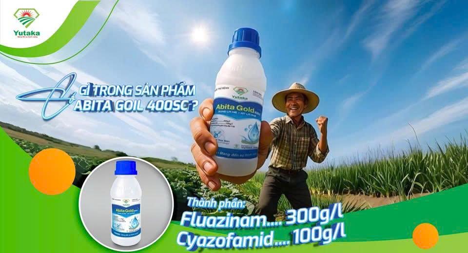 (240ml) Thuốc trừ bệnh ABITA GOLD 400SC, trị thối rễ, xì mủ, thối trái,  trừ nấm Phytophthora, Pythium, Peronospora