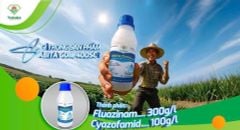 (240ml) Thuốc trừ bệnh ABITA GOLD 400SC, trị thối rễ, xì mủ, thối trái,  trừ nấm Phytophthora, Pythium, Peronospora