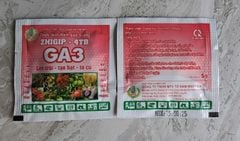 Viên sủi GA3 - Thuốc kích thích sinh trưởng ZHIGIP-4TP 5gam: kích lớn trái, to hạt lúa, to củ đạt năng suất cao