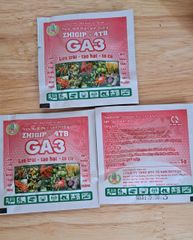 Viên sủi GA3 - Thuốc kích thích sinh trưởng ZHIGIP-4TP 5gam: kích lớn trái, to hạt lúa, to củ đạt năng suất cao