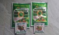 Bộ đôi kích lớn trái, không làm suy cây, giúp to trái dưa leo, to trái dưa hấu, giúp ớt nặng ký và giúp chống nghẽn đầu lân trên rau màu