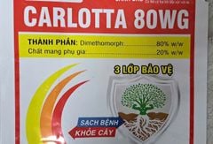 (Gói 100gam) carlotta 80wg 100g - dimethomorph 80%: rửa bông, rửa trái xoài, sầu riêng, trừ thán thư, mốc sương, héo xanh, sương mai dưa hấu