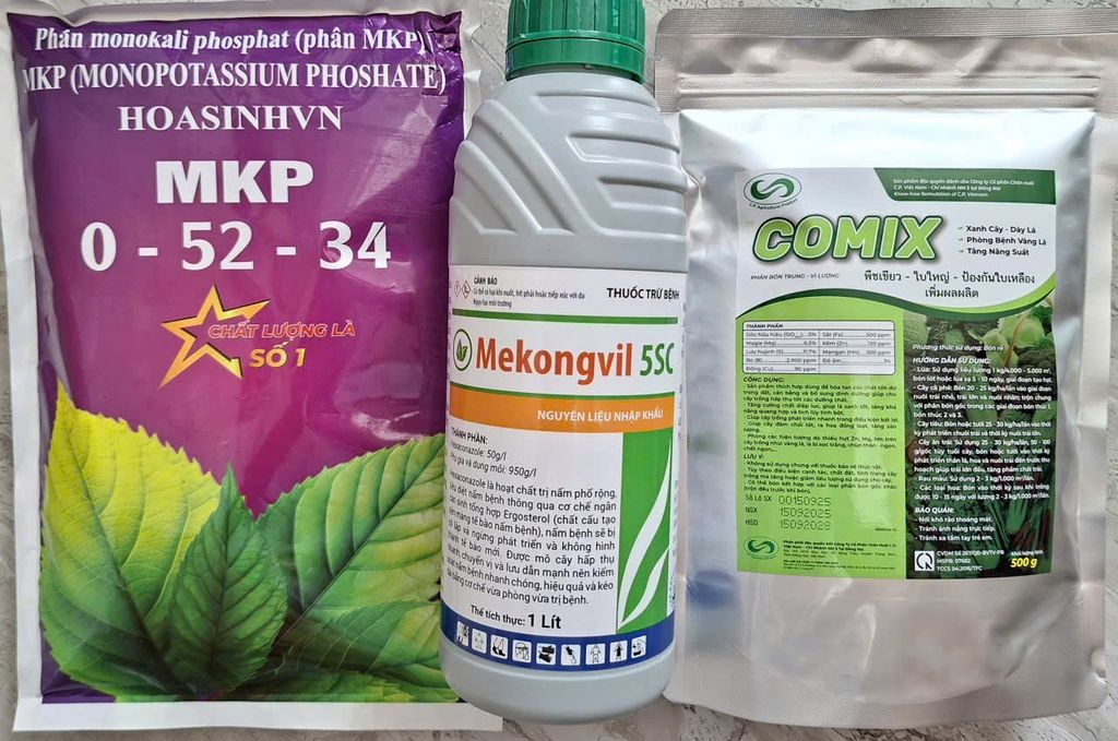 Thuốc trừ bệnh Mekongvil 5sc : phòng ngừa nấm bệnh, chặn đọt sầu riêng