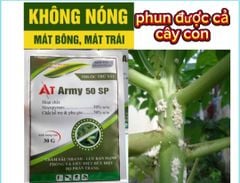 Thuốc phòng trừ rệp sáp hiệu quả và an toàn trên đu đủ - AT ARMY 50SP trừ rệp sáp, rầy mềm, bọ trĩ gây hại đu đủ, không nóng, phun được cả cây con