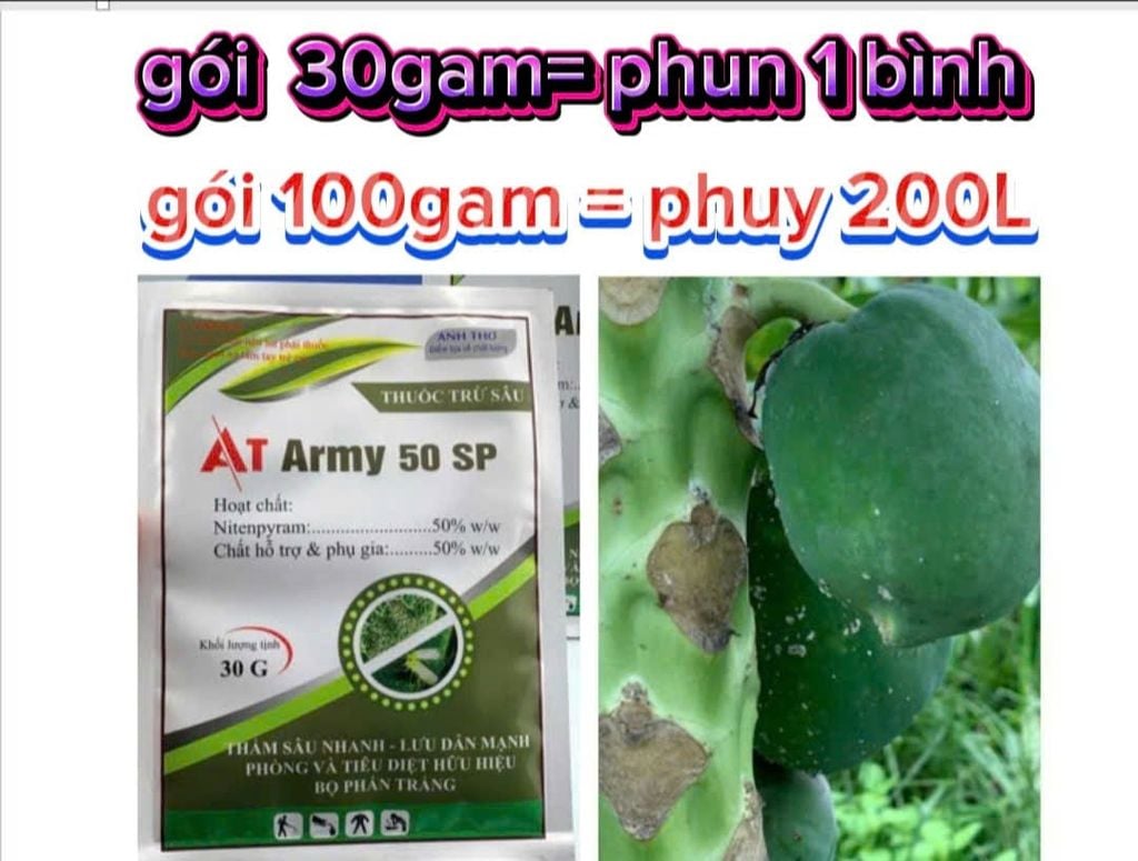 Thuốc phòng trừ rệp sáp hiệu quả và an toàn trên đu đủ - AT ARMY 50SP trừ rệp sáp, rầy mềm, bọ trĩ gây hại đu đủ, không nóng, phun được cả cây con