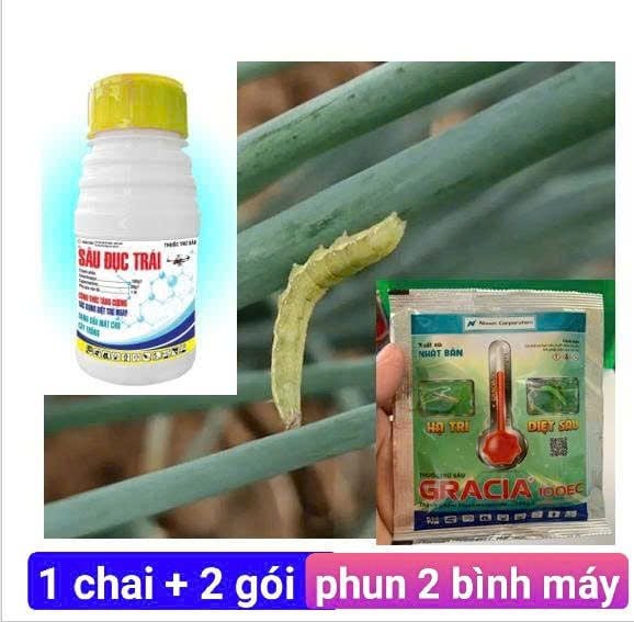 Đặc trị sâu hành đã kháng thuốc, trừ sâu xanh da láng trên hành