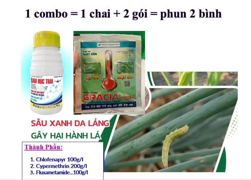 Đặc trị sâu hành đã kháng thuốc, trừ sâu xanh da láng trên hành