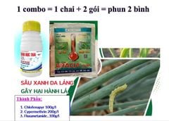 Đặc trị sâu hành đã kháng thuốc, trừ sâu xanh da láng trên hành
