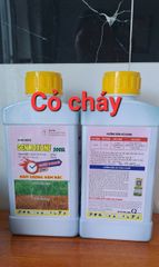 (900ml) Thuốc trừ cỏ cháy nhanh GENMOXONE 200SL: DIQUAT DIBROMIDE 20% w/W - SIÊU CHÁY NHANH 2H