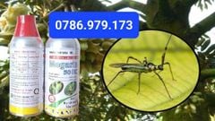 (480ml) Thuốc trừ sâu MEGARIN 50EC: Trị rầy thánh giá, Bọ Xít muỗi gây hại sầu riêng, bọ xít muỗi gây hại điều/ ca cao, Sâu Xanh đậu tương