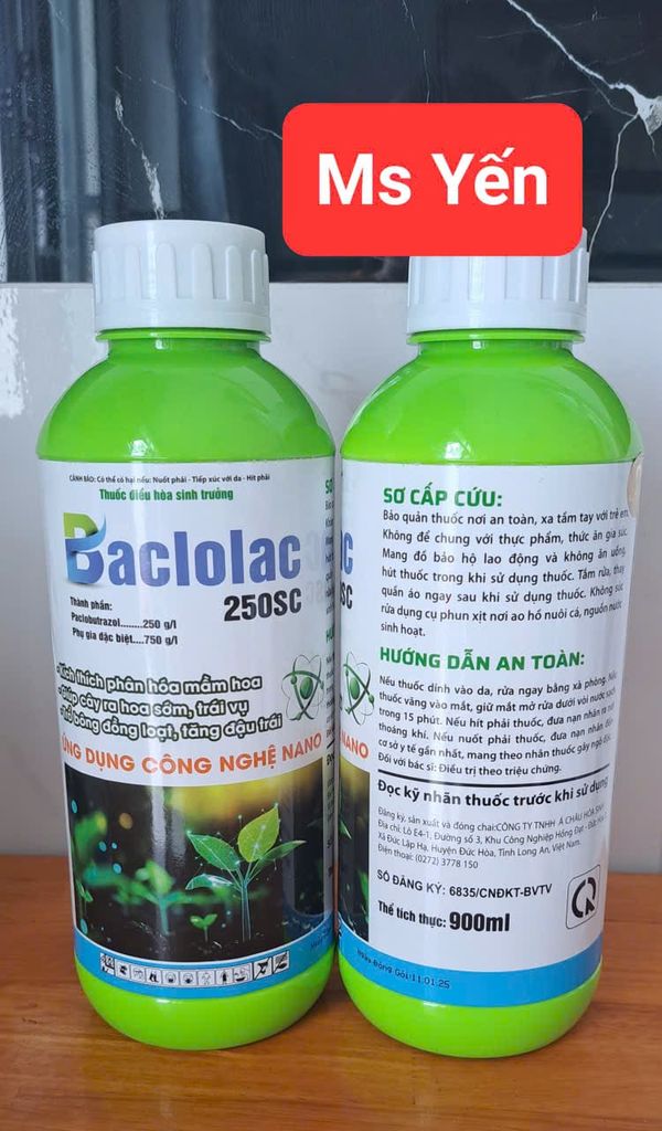 (500ml và 900ml) BACLOLAC 250SC : thuốc điều hòa snh trưởng Paclobutrazol……….250g/l, phân hóa mầm hoa, thúc ra hoa nhanh và mạnh, cứng cây và dài bông