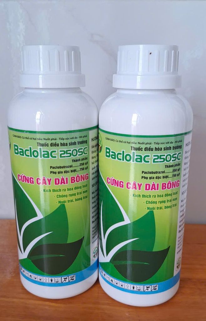 (500ml và 900ml) BACLOLAC 250SC : thuốc điều hòa snh trưởng Paclobutrazol……….250g/l, phân hóa mầm hoa, thúc ra hoa nhanh và mạnh, cứng cây và dài bông