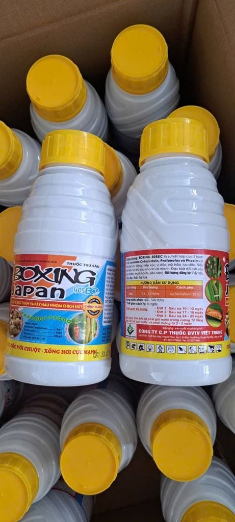 (Chuyên LÚA) Trừ sâu cuốn lá lúa, sâu đục thân, muỗi hành (sâu năn), nhện gié gây hại ruộng lúa