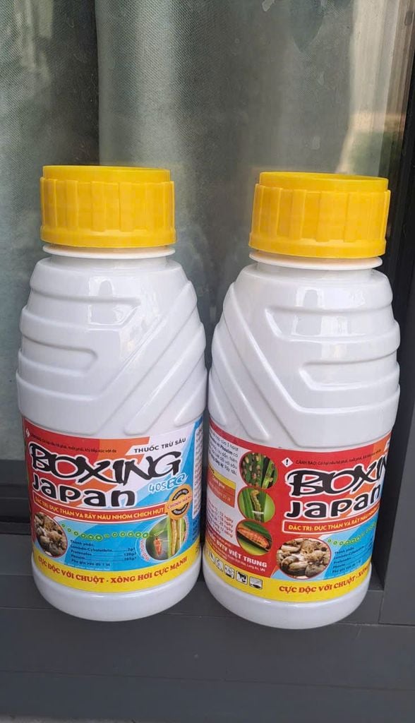 (450ml) Thuốc trừ sâu BOXING JAPAN 405EC phòng trừ đục thân, muỗi hành, rầy nâu, rầy phấn trắng gây hại lúa, độc với chuột
