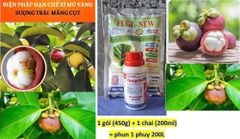 Combo phòng ngừa hiện tượng xì mủ, sượng trái măng cụt