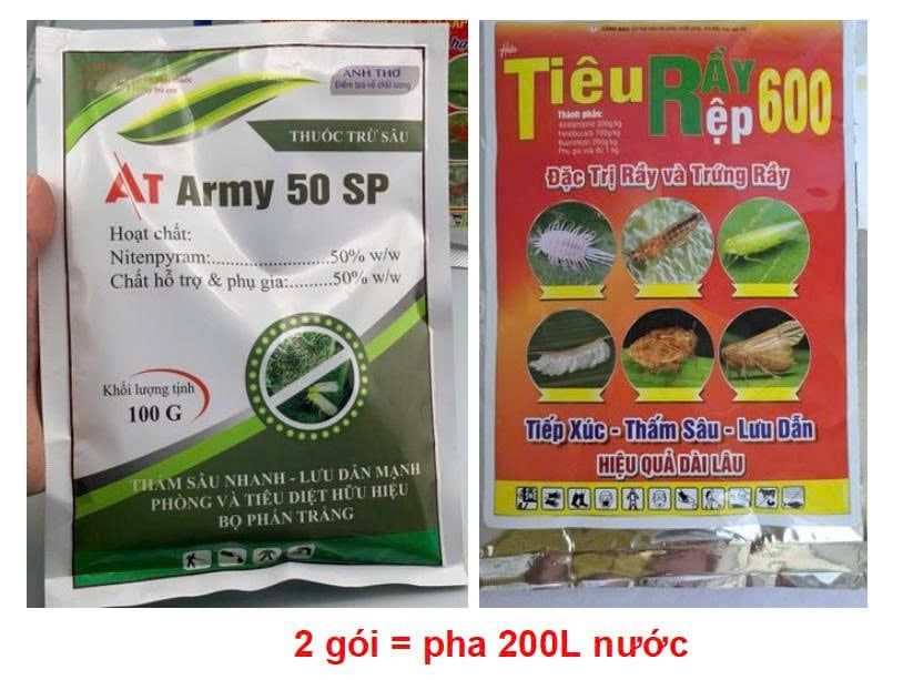 Phòng trừ bọ trĩ, rầy bông xoài, rầy xanh, rệp sáp, trừ bệnh thán thư xoài, hạn chế rụng bông và trái xoài non
