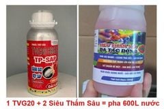 (rệp sáp ổi + chống rụng bông, trái non) Trừ rệp sáp ổi, nước sữa, không nóng và chống rụng bông, ngăn ngừa rụng trái non
