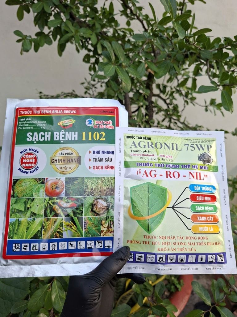Bộ Giải Pháp 1 gói SẠCH BỆNH 1102 + 1 gói AGRONIL: đặc trị sương mai, cháy lá, đốm lá trên cây dưa hấu