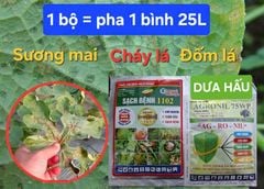Bộ Giải Pháp 1 gói SẠCH BỆNH 1102 + 1 gói AGRONIL: đặc trị sương mai, cháy lá, đốm lá trên cây dưa hấu