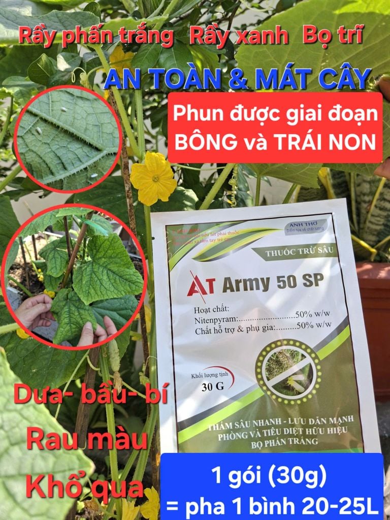 (Diệt côn trùng chích hút dưa hấu) Gói AT Army 30gam: diệt bọ trĩ, rầy phấn, rầy xanh và rầy mềm trên dưa hấu