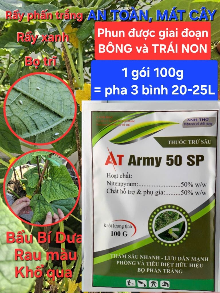 Đặc trị rầy phấn trắng, bọ trĩ, rầy xanh  gây hại dưa leo, dưa chuột, phun được giai đoạn cây con, cây có bông và đang mang trái