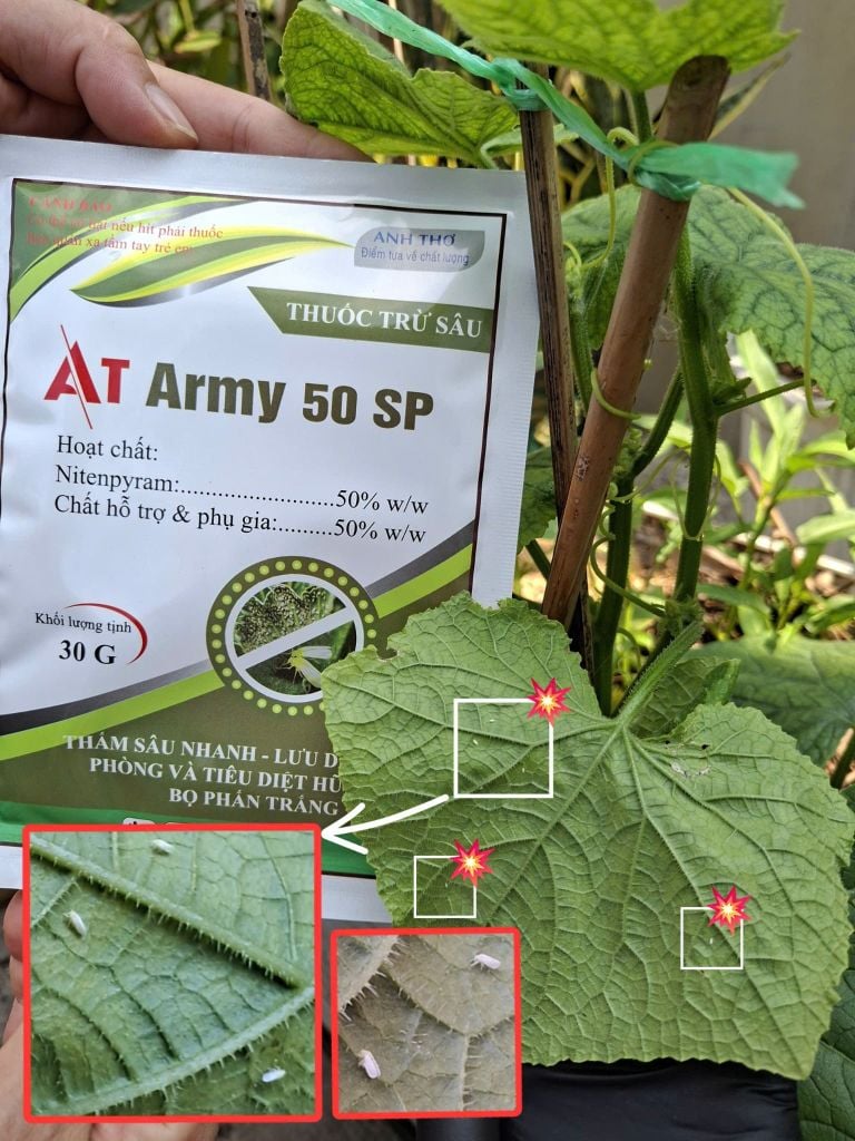 (Diệt côn trùng chích hút dưa hấu) Gói AT Army 30gam: diệt bọ trĩ, rầy phấn, rầy xanh và rầy mềm trên dưa hấu